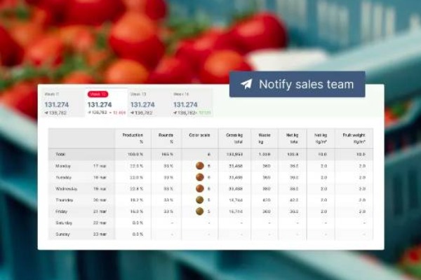 Veštačka inteligencija preciznije predviđa berbu paradajza