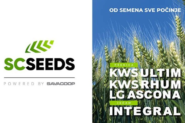 SC Seeds – od pravog izbora semena do sigurnog rezultata na njivi